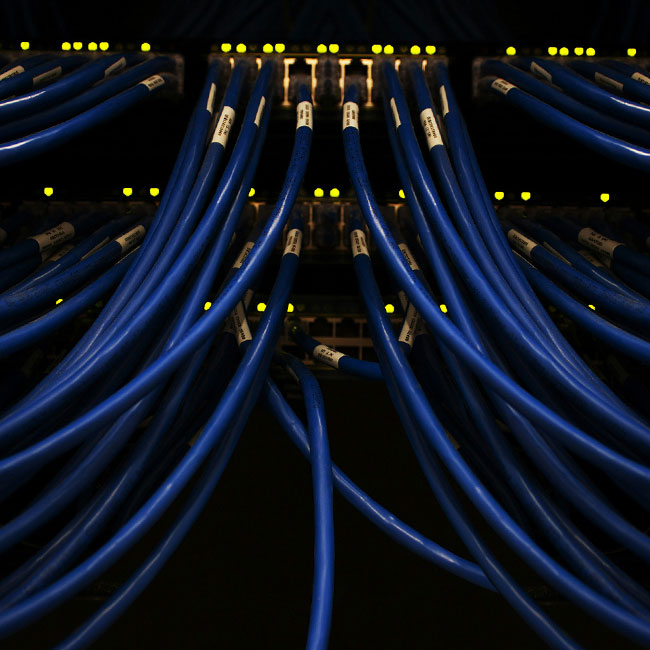 A neatly arranged patch panel and switch