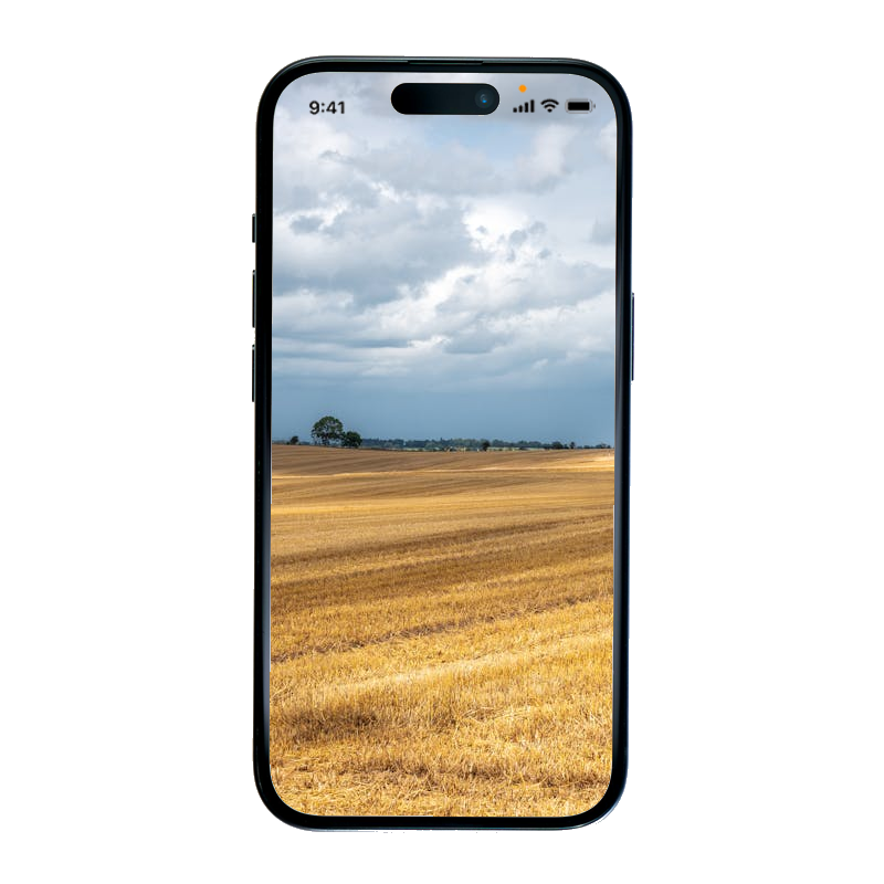 A Mobile phone with Full signal