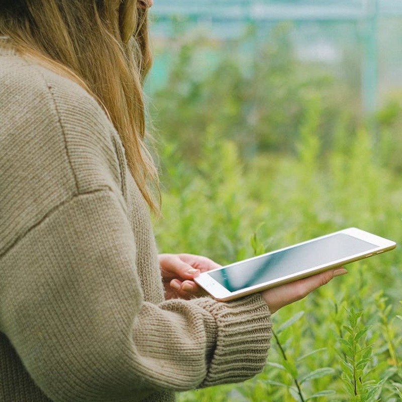 Using a laptop to survey a polytunnel
